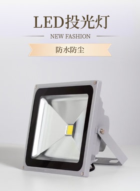 led投光灯彩色投射灯10w20w30w50瓦园林草坪高杆广告牌庭院户外灯