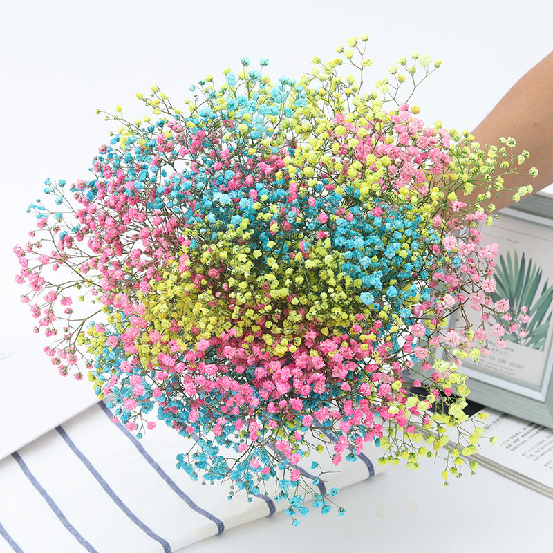 勿忘我 干花花束 家居摆设 小清新 网红满天星永生干花花束带花瓶|msdalam kategori Aksesori rumah, pasu/bunga/bunga tiruan/perhiasan imitasi, bunga kering/Petal/pakej bunga kering/ranting kering - dari Buy2taobao.com untuk memberikan perkhidmatan ejen Taobao profesional membeli