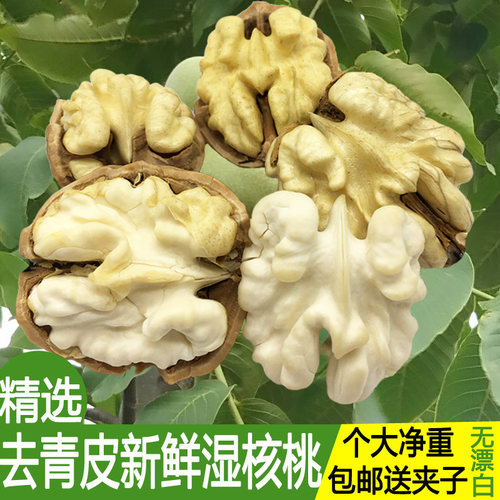 2025年新鲜核桃云南新货湿核桃现摘人工去青皮老树薄皮大生嫩5斤