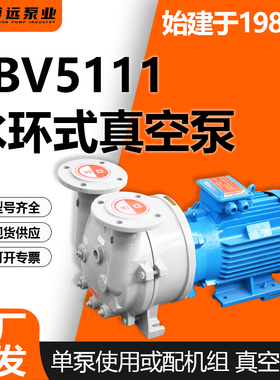 博远2BV5111水环真空泵5.5kW工业级高真空低噪68dB机械密封无泄漏