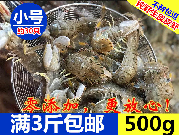 皮皮虾 鲜活新鲜海虾海鲜大虾虾活虾