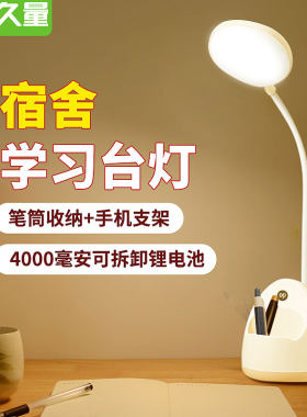 久量LED护眼解控充插2用台灯