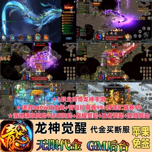 龙神觉醒买断版3职业传奇手游进游300w代金可无限代金资源gm后台