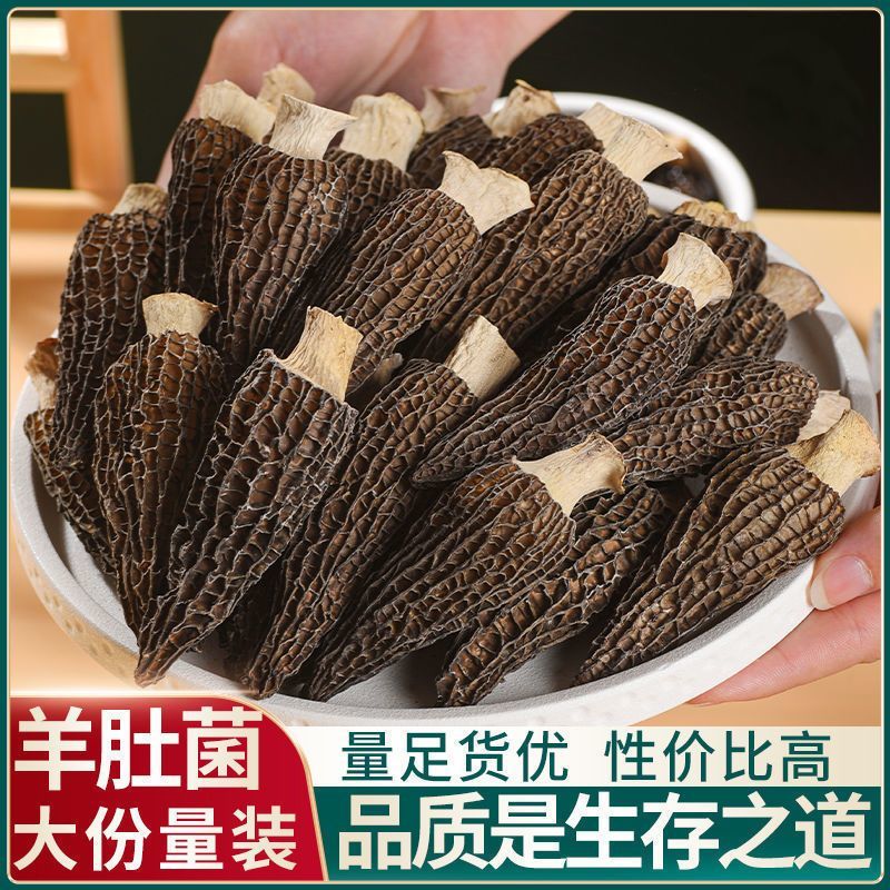 头茬】正品云南羊肚菌干货煲汤食材农家批发特产滋补养生净重大号