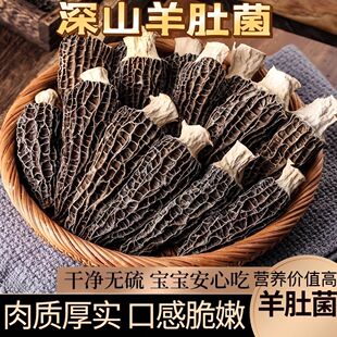 云南羊肚菌高山新鲜食材精选深山干货菌菇煲汤批发滋补食材净重