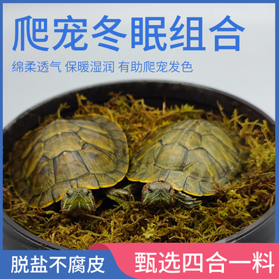 乌龟爬宠用沙子椰土保暖冬眠苔藓土龟巴西龟鳖冬眠孵化下蛋用沙子