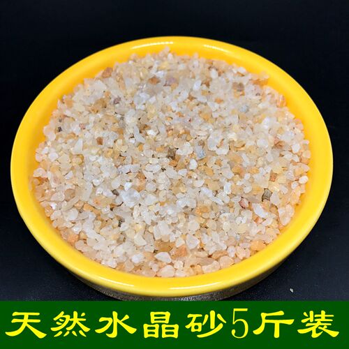天然河沙水晶砂乌龟冬眠造景原生