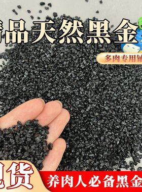 天然黑金沙多肉铺面盆栽水族鱼缸造景装饰展会黑色流沙