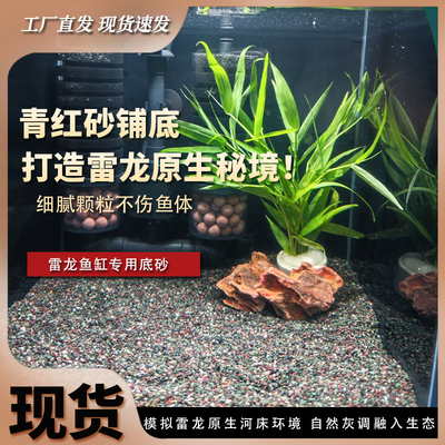免洗青灰砂水族化妆砂造景太行黑砂三湖慈鲷萨伊蓝雷龙南美黑细砂