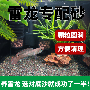 免洗清灰热带雨林沙鱼缸底砂南美雷龙造景青红沙棕黑鼠沙埃及七彩