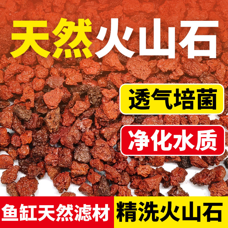 免洗精洗精筛火山石鱼缸乌龟专用颗粒养花水族垫底砂生态造景,宠物/宠物食品及用品,造景/装饰,淘宝优惠券,粉丝福利购,淘宝优惠卷