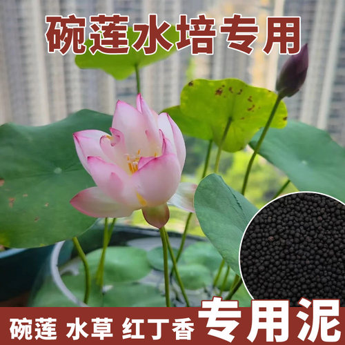 碗莲水培专用颗粒泥料黑水肥料