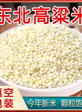 25年当季东北新高粱米农家自产新鲜白高粱仁米饭煮粥杂粮真空包装