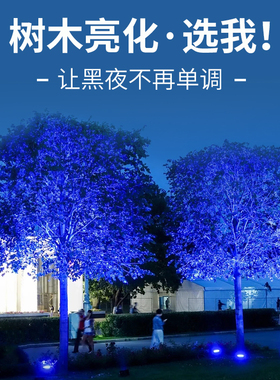 蓝色树木亮化建筑灯led投光灯户外防水彩色射灯园林照树灯景观灯