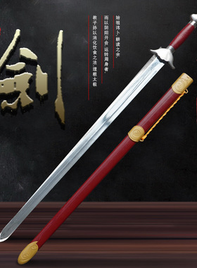 太极剑武术表演剑舞蹈软剑未开刃女晨练宝剑男古风道具儿童半硬响