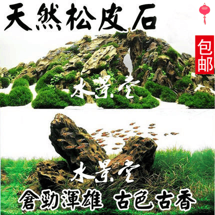 松皮石鱼缸懒人造景 造景金鱼缸乌龟缸长方形水族箱 活体尼特利