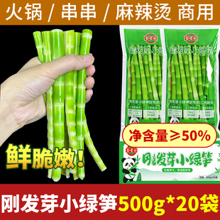 四川翡翠笋高山绿笋青笋火锅食材绿竹笋细笋嫩笋尖500g*20袋商用