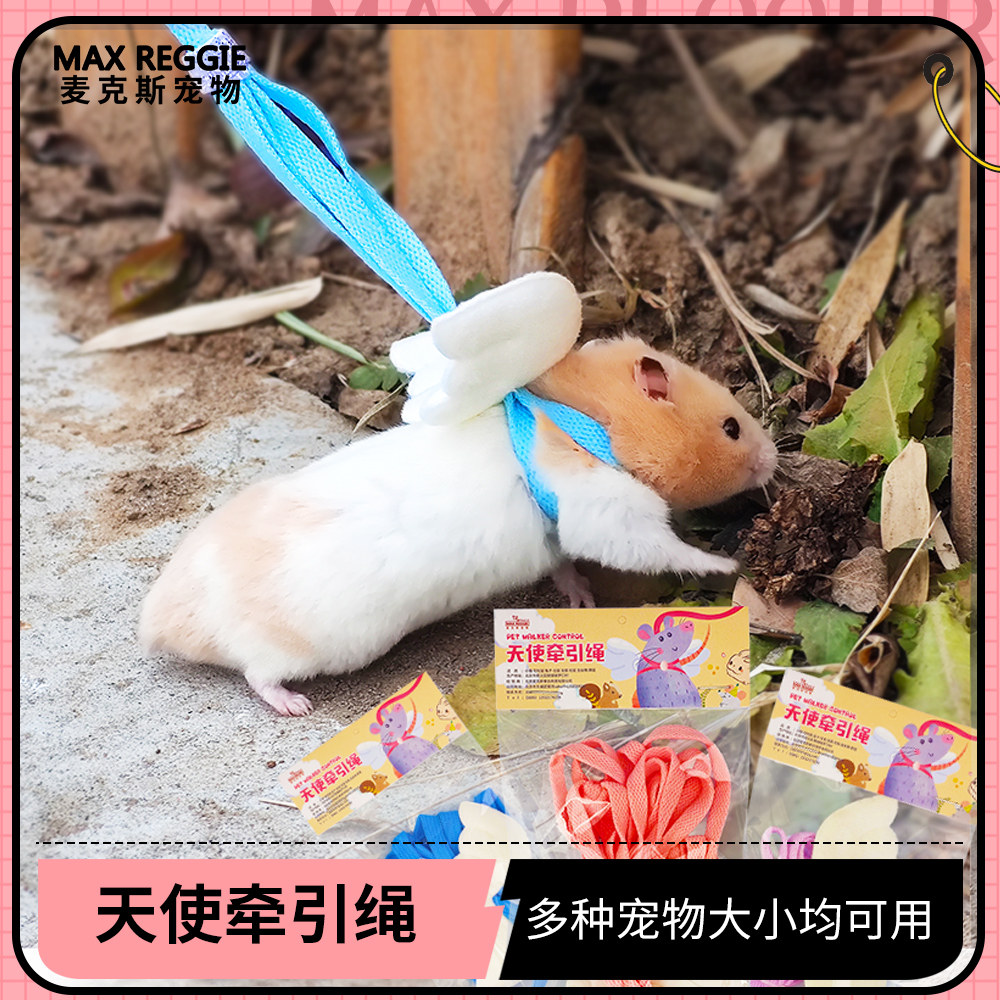 花枝鼠兔子龙猫荷兰猪貂天使翅膀胸背牵引绳遛鼠成熟专用项圈用品