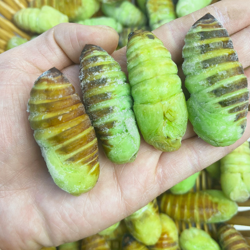 东北速冻神仙蛹嫩茧蛹小神仙净蚕大青虫400克一份包邮