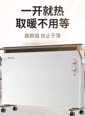 先锋取暖器家用电暖器欧式快热炉电暖器防水壁炉HD2013RC-22