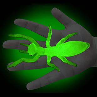 软胶夜光仿真螳螂玉色刀螂幼儿园儿童玩具蚂蚱发光假昆虫动物模型