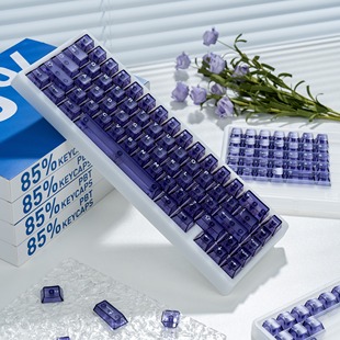 顶面磨砂雾透 PC透明紫键帽 透光原厂高度机械键盘磁轴通用键帽