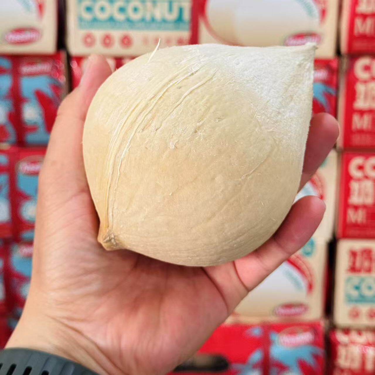 奶香椰coco椰青越南椰皇9粒椰味浓郁礼盒装单果约1斤左右顺丰包邮
