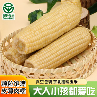 东北白甜糯玉米棒农科糯336粘玉米黏糯香甜白苞米早餐真空包装