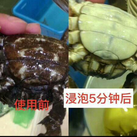 百泰富虾蟹黑锈净小龙虾洗虾粉生物除锈酶清洗螃蟹黑神器柠檬酸