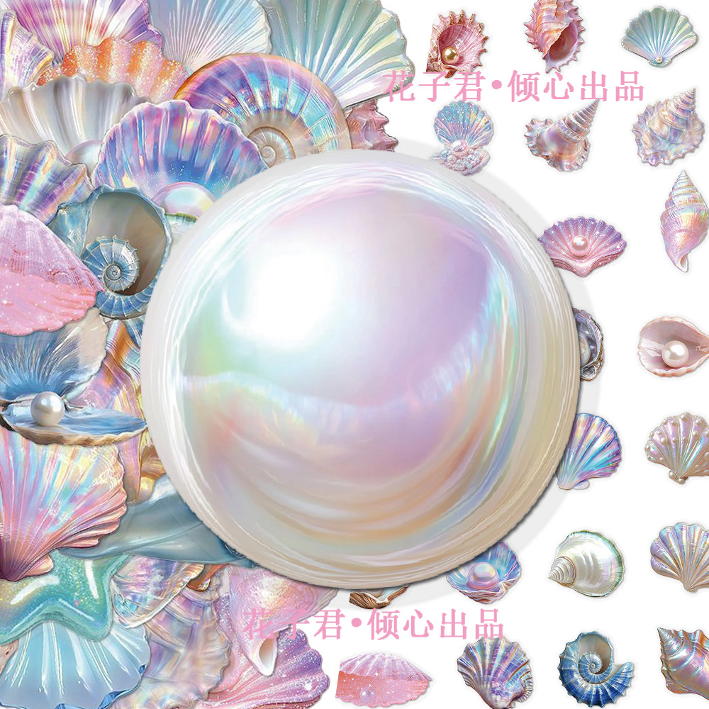 100张海洋贝壳PET贴纸精美ins风小众简约精致贴画diy桌面笔记本