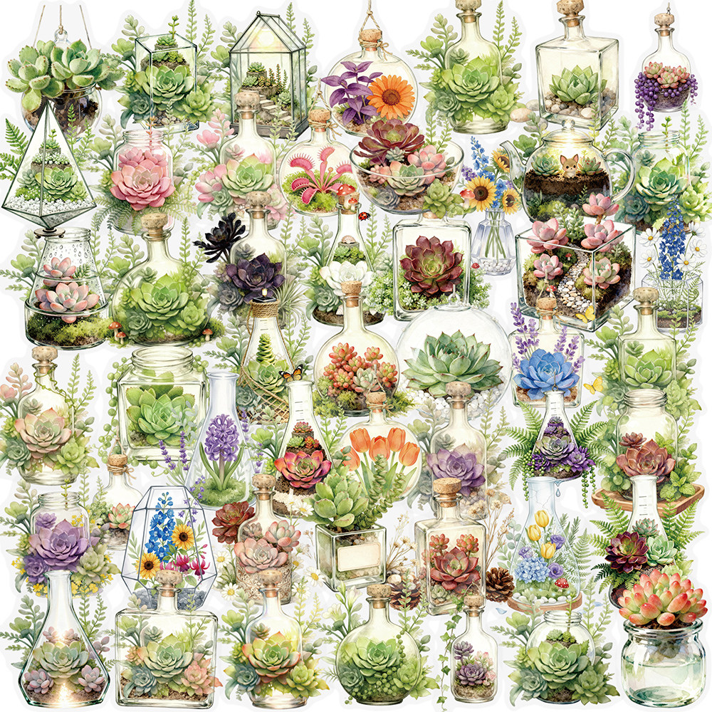 100张多肉植物PET贴纸ins风透明多肉玻璃瓶盆栽diy手账手机壳贴画,玩具/童车/益智/积木/模型,贴纸,淘宝优惠券,粉丝福利购,淘宝优惠卷