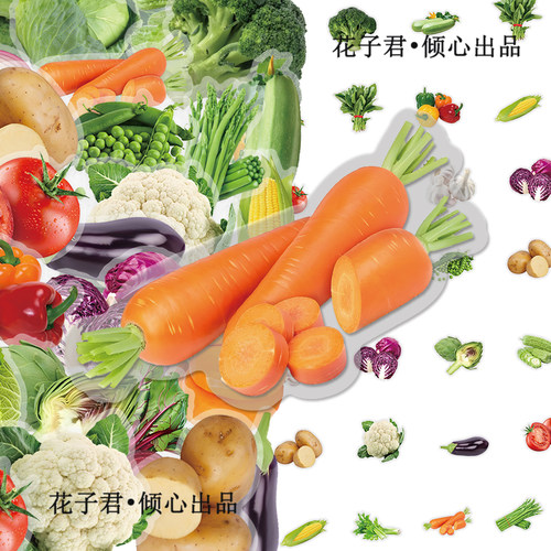 100张写实蔬菜PET贴纸ins风高清白菜萝卜南瓜装饰手账手机桌面diy