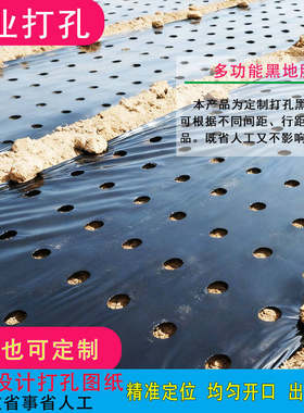 打孔黑色地膜除草防草