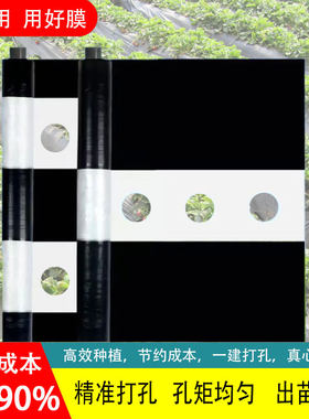 单双白打孔膜有黑白条纹膜