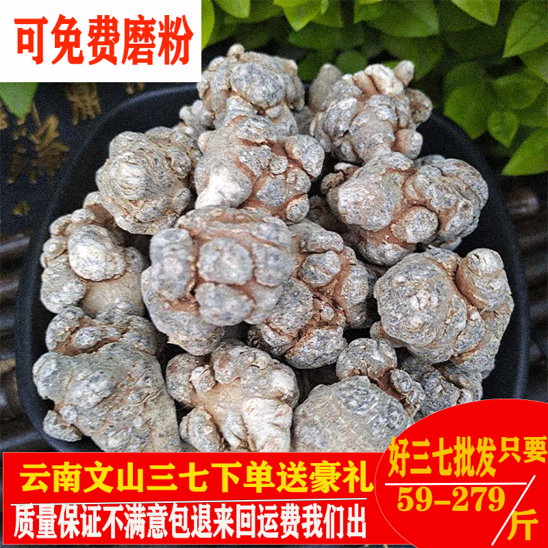 三七正宗云南文山种植家用特级