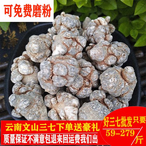 三七正宗云南文山种植家用特级