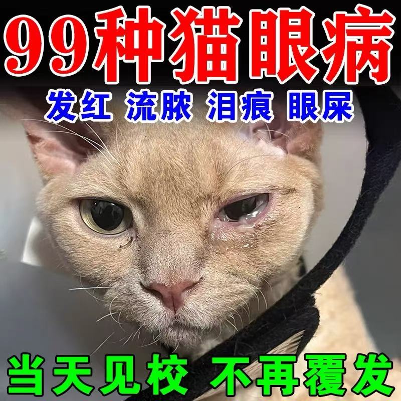 猫咪眼睛发炎流泪宠物滴眼液治眼角红肿流脓抗菌消炎眼药水