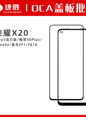 适用荣X20畅享50Plus Nova9z play5活力版 雷鸟FF1/F810盖板带OCA