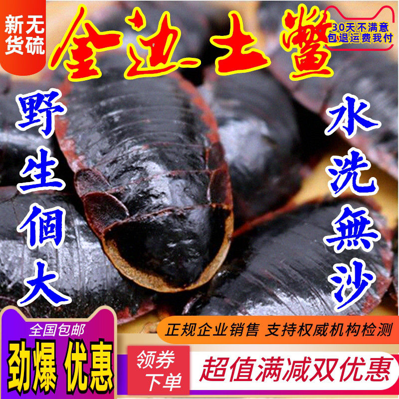 中药材金边土鳖虫250g新货土别非中华土元地乌龟金边土元地鳖粉