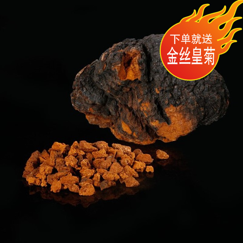 白桦茸颗粒俄罗斯可打粉包邮