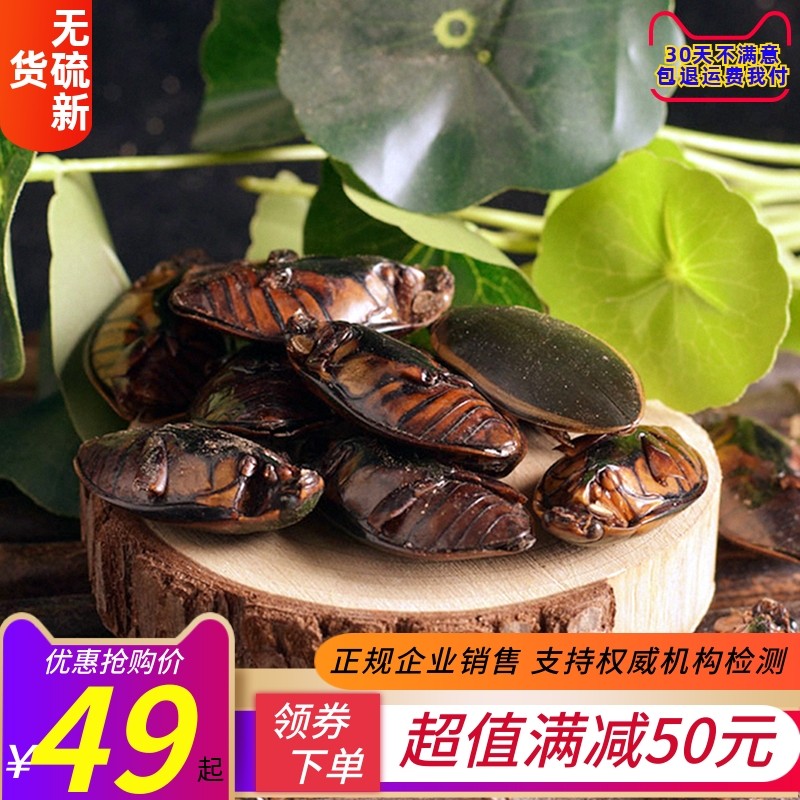中药材 新货金边龙虱 龙虱 水鳖虫 射尿龟 100克包邮免费磨粉促销