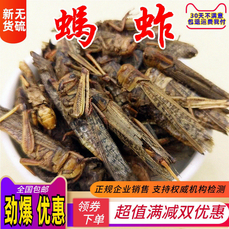 中药材 蝗虫干 蚂蚱干250克 店另有蛐蛐 五谷虫 蝼蛄 蟋蟀 蟑螂