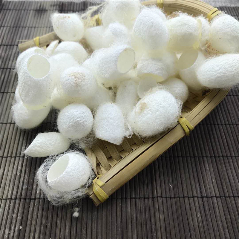 蚕茧 中药材500g克包邮正品新货蚕蛹壳蚕衣 茧黄 蚕茧壳 不带蚕蛹
