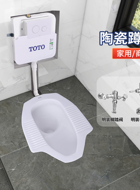 TOTO蹲便器CW8RB+SWN570家用卫生间隐藏式埋墙水箱防臭蹲坑大便器