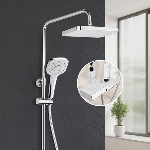 TOTO恒温花洒TBW12410C