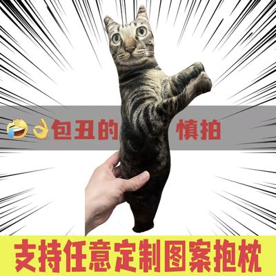 老鼠干玩偶定制丑猫抱枕定制diy
