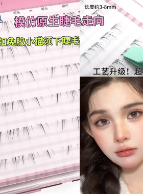 初遇季顺手系列2步贴小猫须仿手画免胶顺手下睫毛仿真假睫毛新手