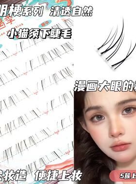 初遇季小猫须下睫毛仿手绘