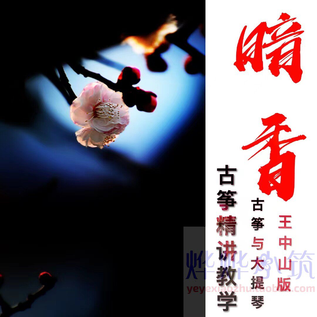暗香古筝与提琴曲谱王中山精讲课