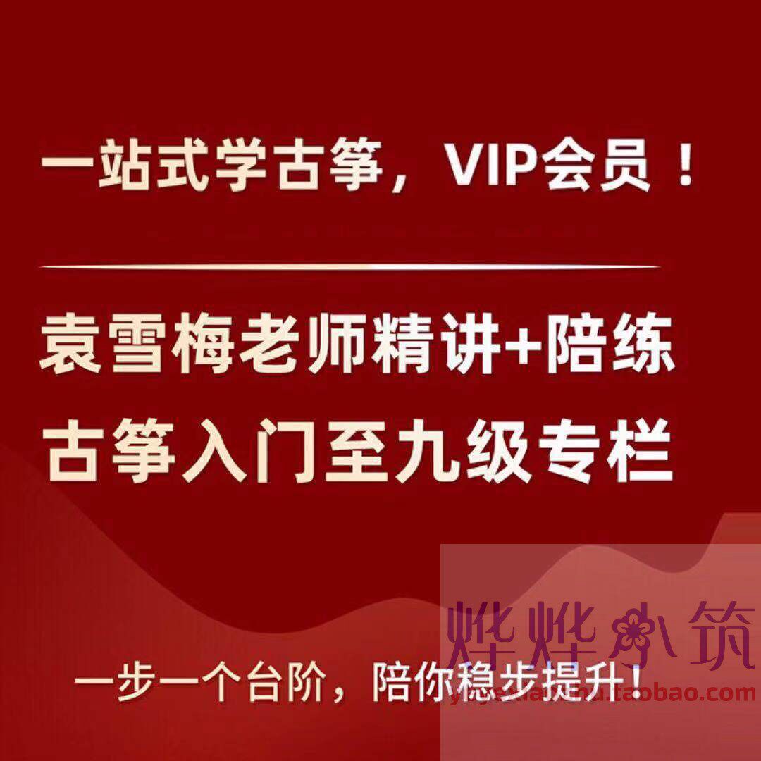 袁雪梅古筝精讲陪练课零基础讲解入门至九级考级曲逐句全曲教学